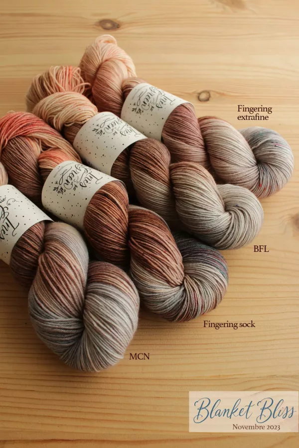 Novembre 2023 - Blanket Bliss – Image 2
