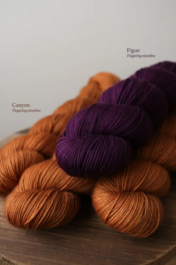 Figue – Image 2